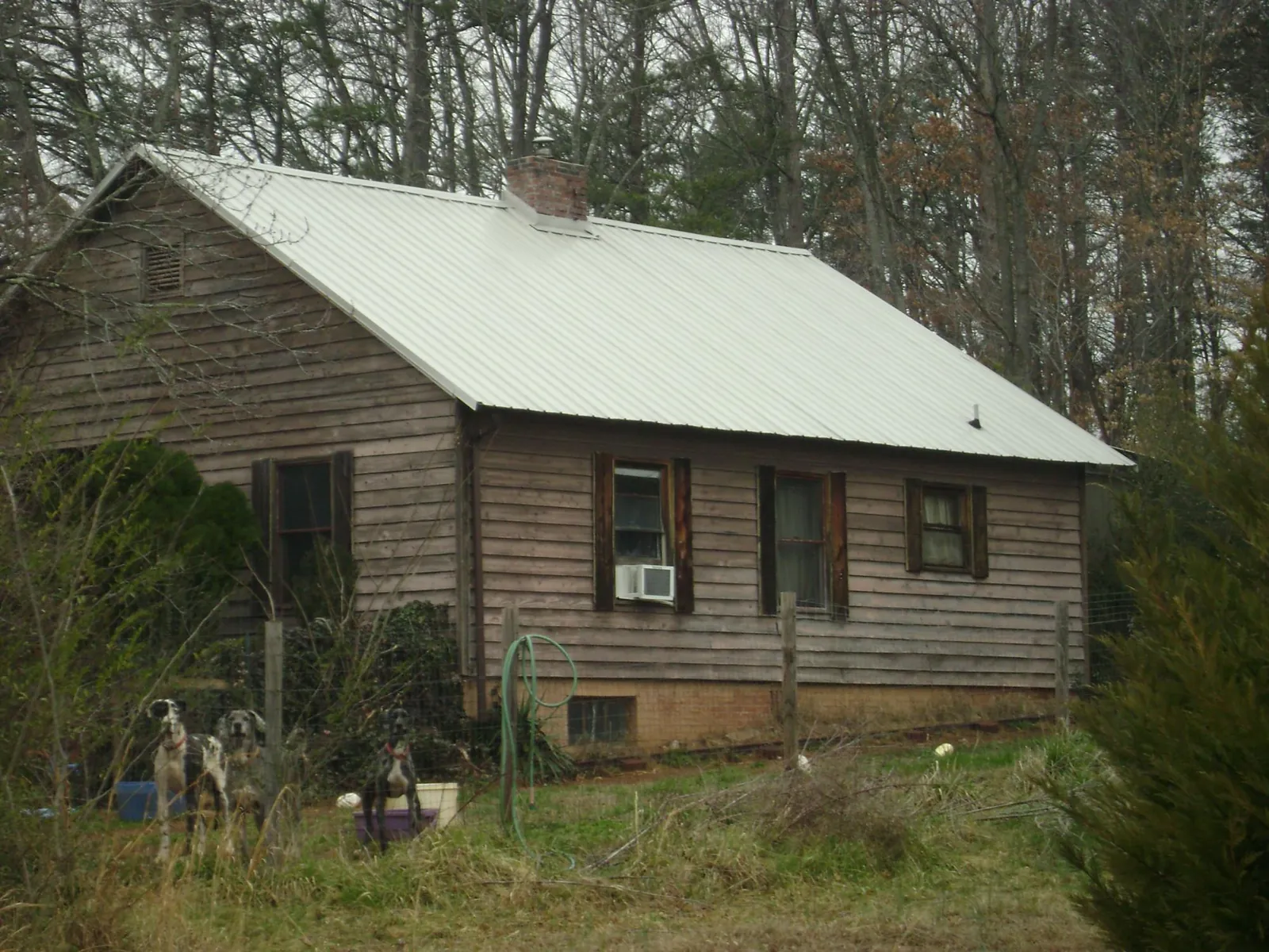 White metal roof on an old wood sided farmhouse, from a Asphalt Shingle Roof Repair job in Ocean Beach
